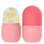 Ice Face Roller and Massager with Silicone Mould